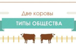 Политические режимы на примере коров