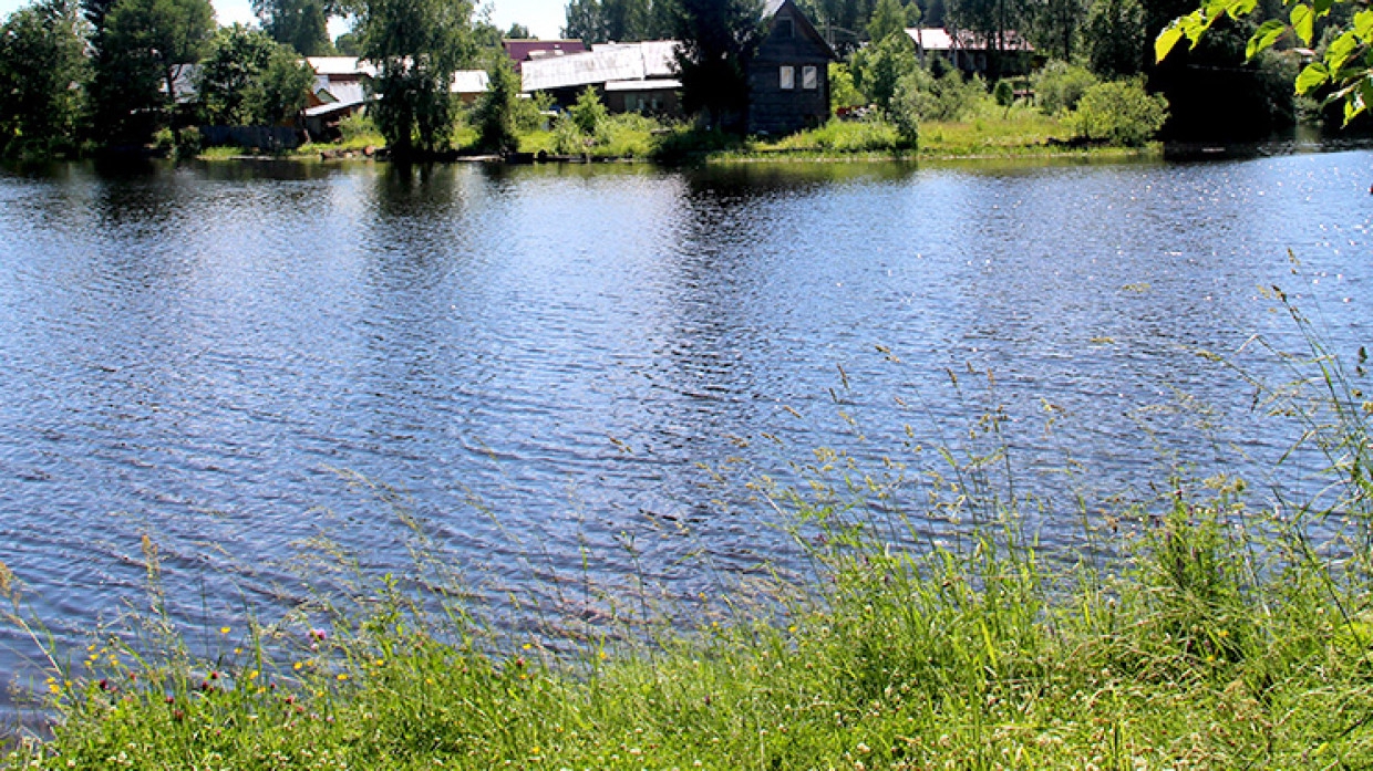 Полицейский погиб во время купания в пруду в подмосковной Балашихе