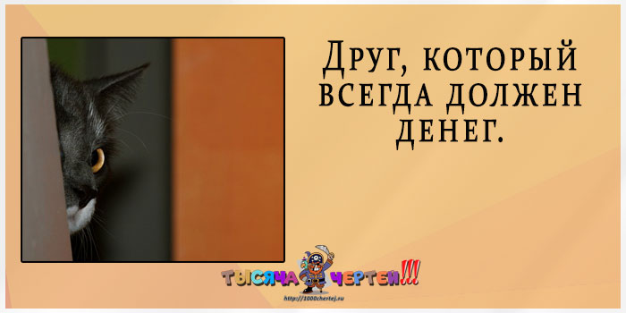 Прикольная классификация друзей по 20 типам. Демонстрируют животные 