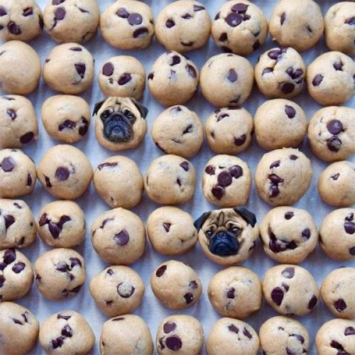 Креативный фотошоп для вас Креативный фотошоп для вас