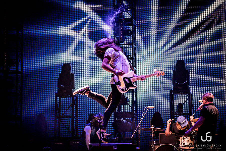 Забавные картинки для хорошего настроения Забавные картинки для хорошего настроения животные,жизнь,звери,земля,котики,коты,курьезы,мир,питомцы,планета,приколы,природа,смешное,собаки,факты,фауна,флора,щенки,юмор