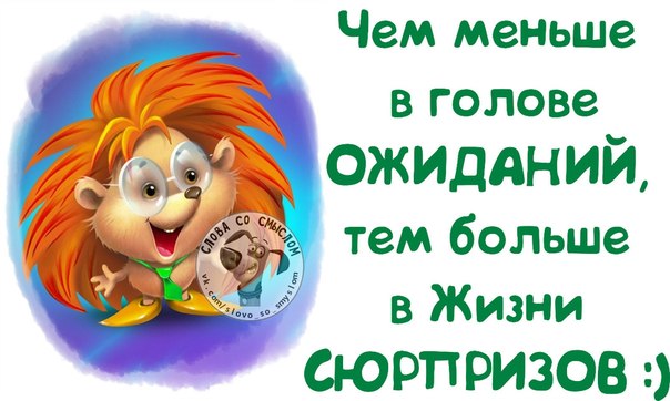 Веселые фразочки в картинках 