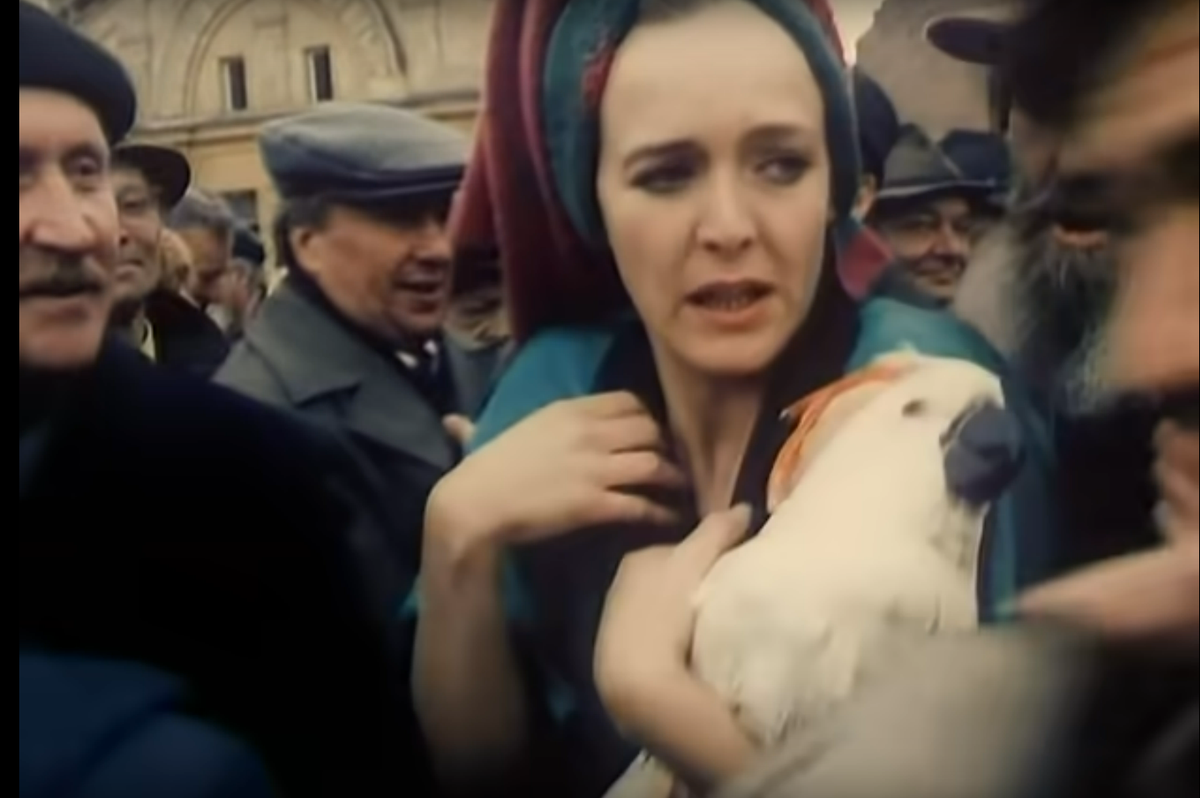 Теплые батареи, пиво и шампанское Блогеры,общество,Политика