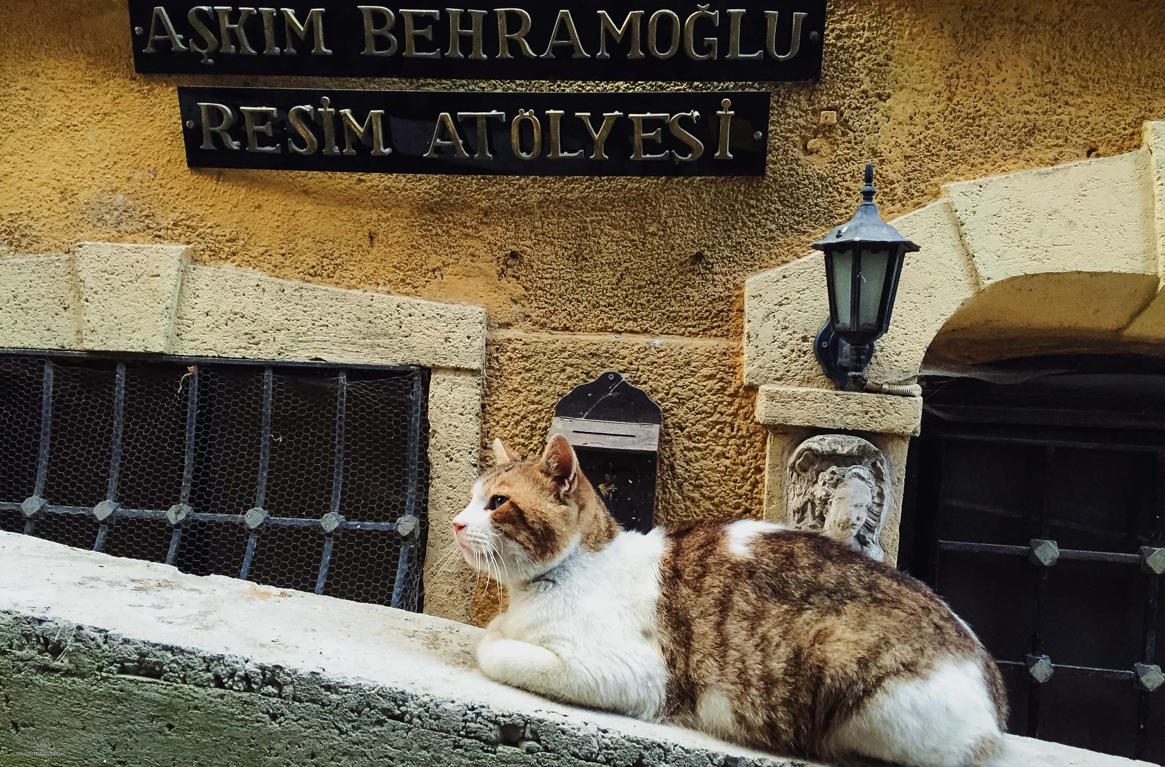 10 причин почему я не люблю Стамбул 10 причин почему я не люблю Стамбул страны,туризм