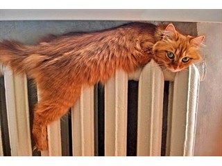 Батарея Шредингера