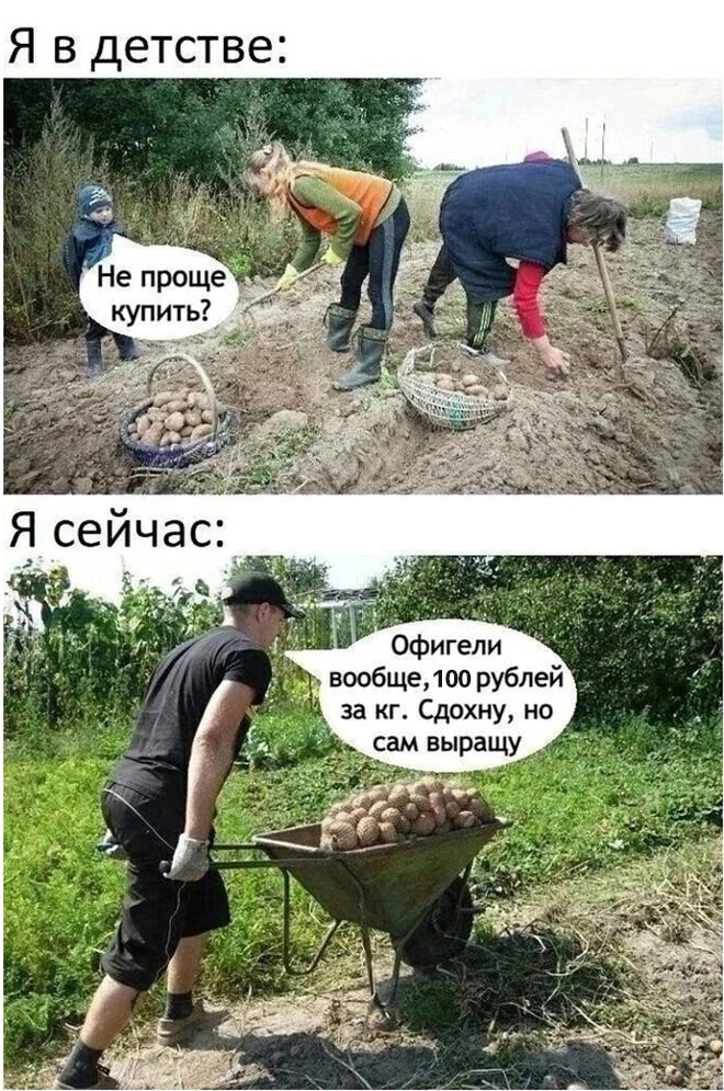 Интернет мемы в воскресение и чай в пирамидках Интернет мемы в воскресение и чай в пирамидках