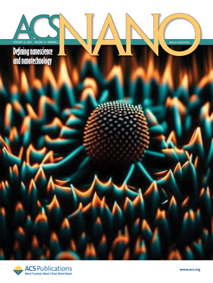 Обложка журнала ACS Nano
