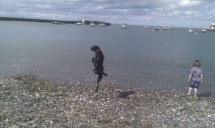 Подборка картинок. Дневной выпуск (51 фото)