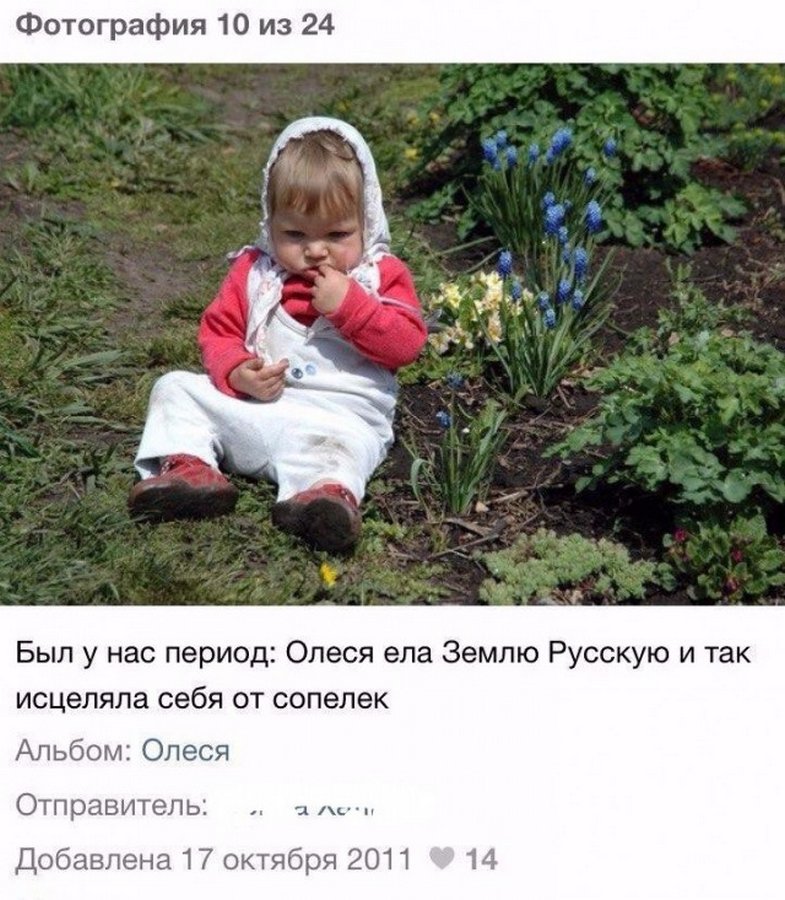 Смешные картинки про олесю