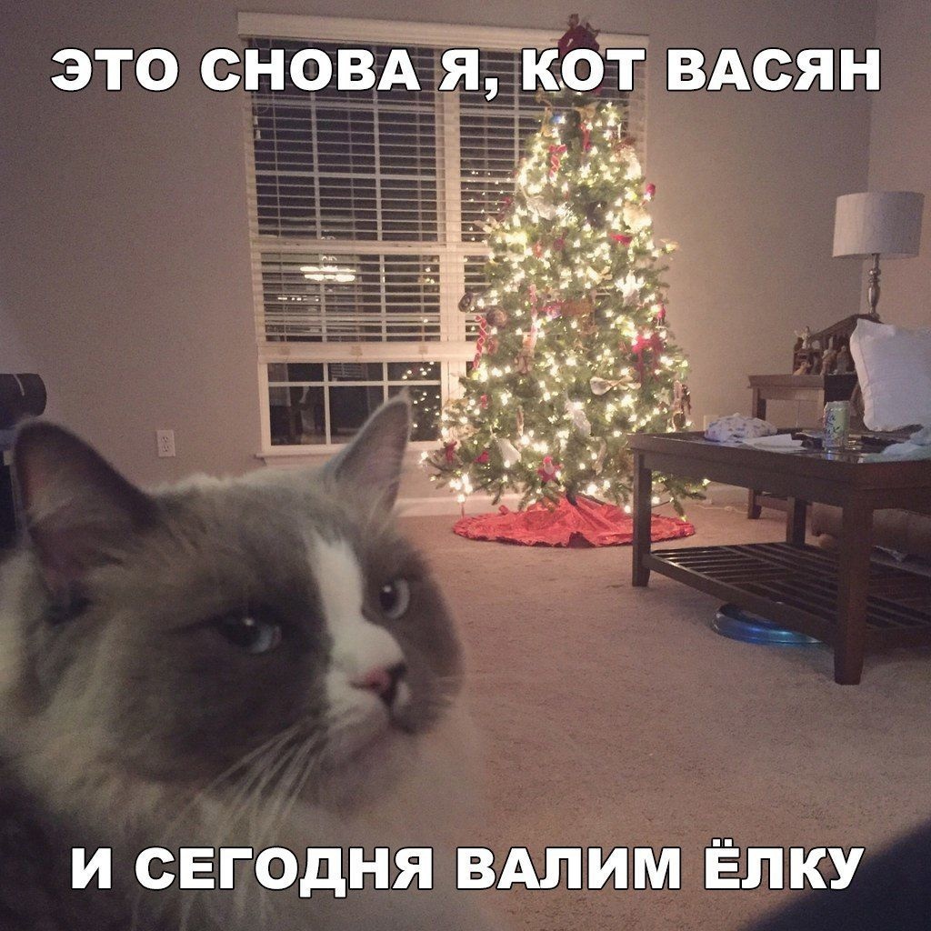 Юмор из интернета 689 позитив,смех,улыбки,юмор