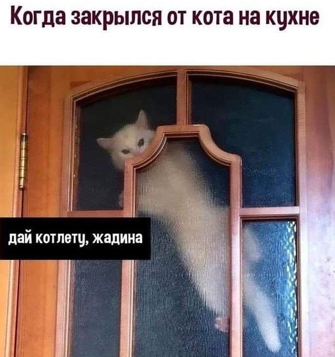 Октябрёвое!.. Погнали