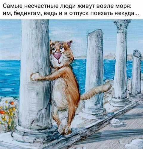 Настоящий интеллигент всегда найдет оправдание тому, кто его оскорбил анекдоты,веселье,демотиваторы,приколы,смех,юмор