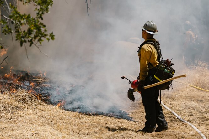 Дым от лесных пожаров делает людей восприимчивее к COVID-19: почему от дыма невозможно скрыться