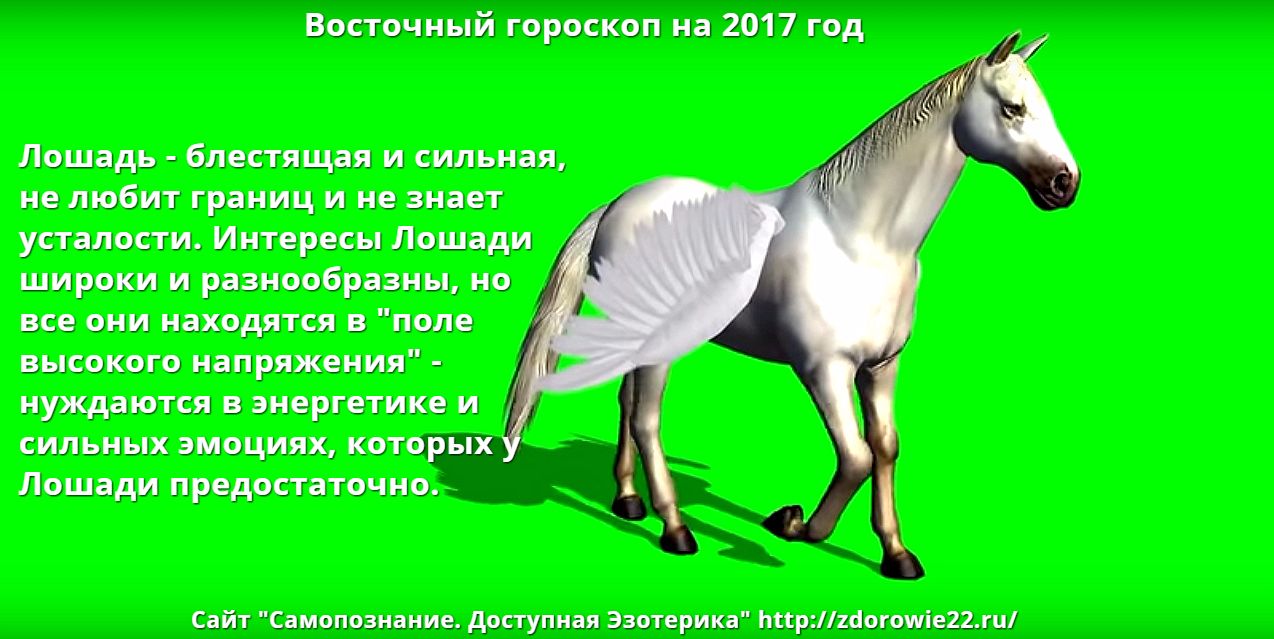 Лошадь знак зодиака года. Год лошади гороскоп. Рожденные в год лошади. Год лошади характер. Лошадь гороскоп характеристика.
