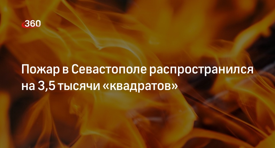 Развожаев: пожар в Севастополе распространился на 3,5 тысячи квадратных метров