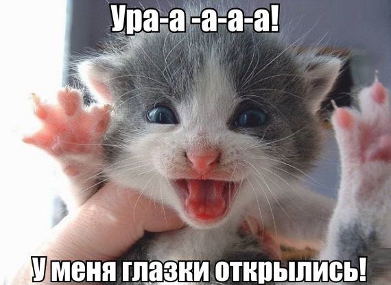 u1LBra46WKg