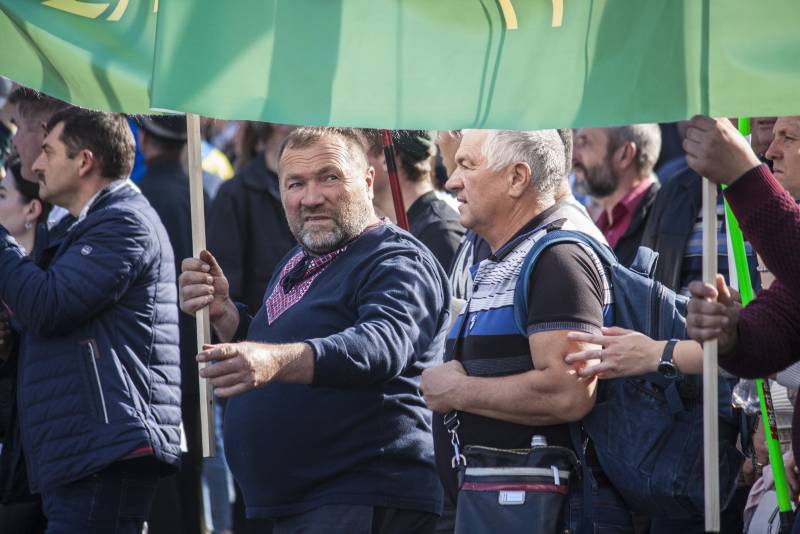 Репортаж Колорадского Таракана. День «Де», или Украденный Бессмертный полк украина