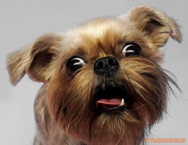 Давайте улыбаться вместе! :) №281014