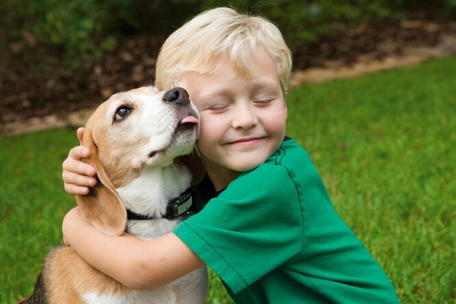 Не шутите с милотой: какие заболевания могут передать человеку домашние животные домашние животные,здоровье,наука,человек