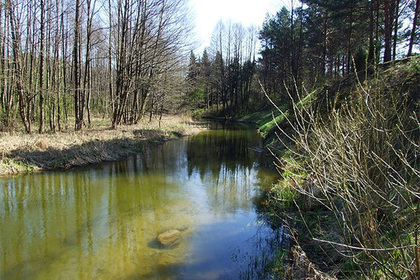 Река Балтои Анча