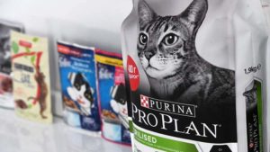 Purina заявила об остановке производства серии кормов для кошек и собак в РФ