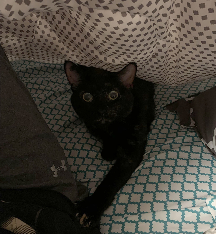 15 трогательных моментов, которые вызывают бурю эмоций 15 трогательных моментов, которые вызывают бурю эмоций воспитание