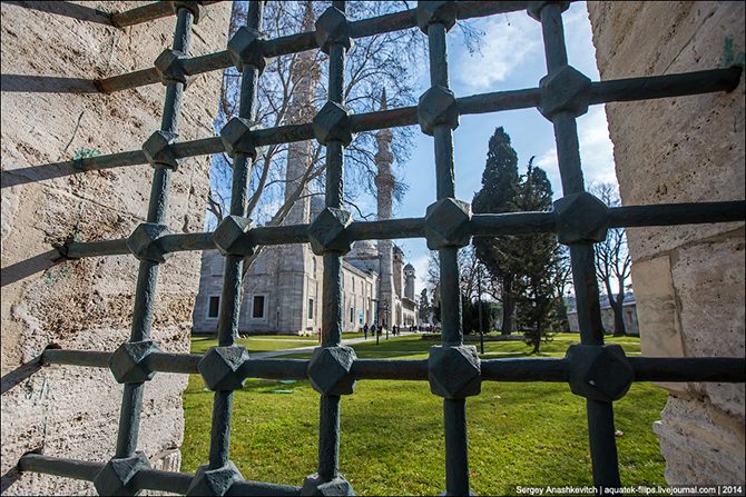 Жемчужина Стамбула: легендарная мечеть Сулеймана Великолепного Жемчужина Стамбула: легендарная мечеть Сулеймана Великолепного мечети, Сулеймана, мечеть, находится, Законодателя, которые, Сулеймание, комплекса, Султан, Синан, Султана, время, комплекс, кладбище, медресе, самом, Здесь, Синана, Стамбуле, самого