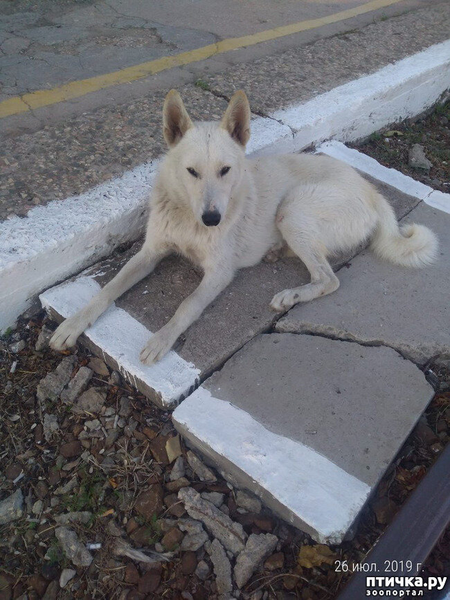 История со счастливым концом 