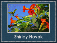 Shirley Novak 