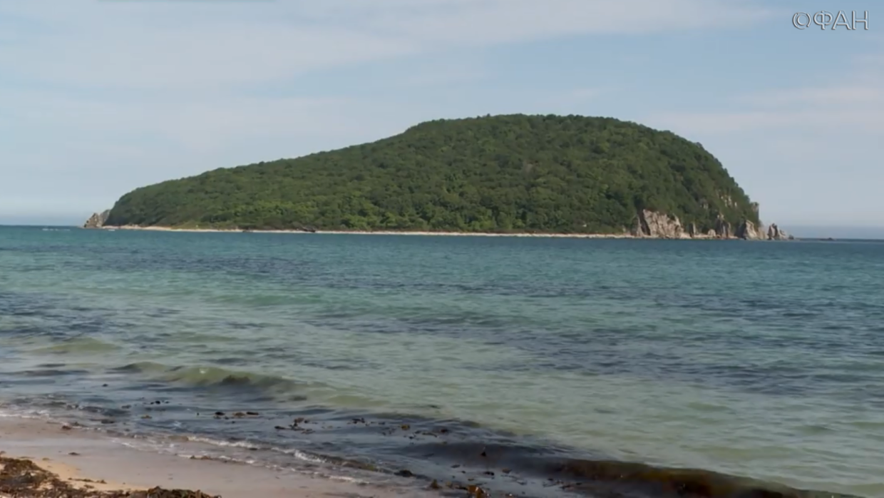 «Красота, простор и чувство свободы»: пляжи Приморья вошли в рейтинг Forbes Общество