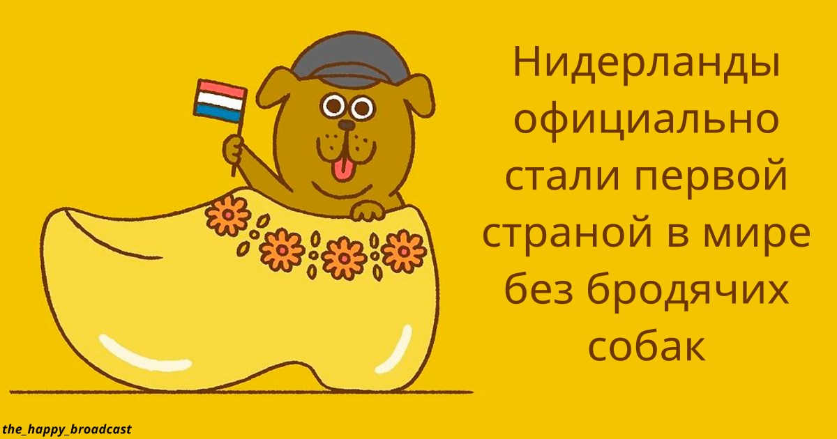 Я сыт по горло плохими новостями, поэтому собрал 50 лучших хороших событий 2019-го