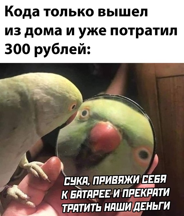 Подборка прикольных картинок Подборка прикольных картинок приколы,смешные картинки,юмор