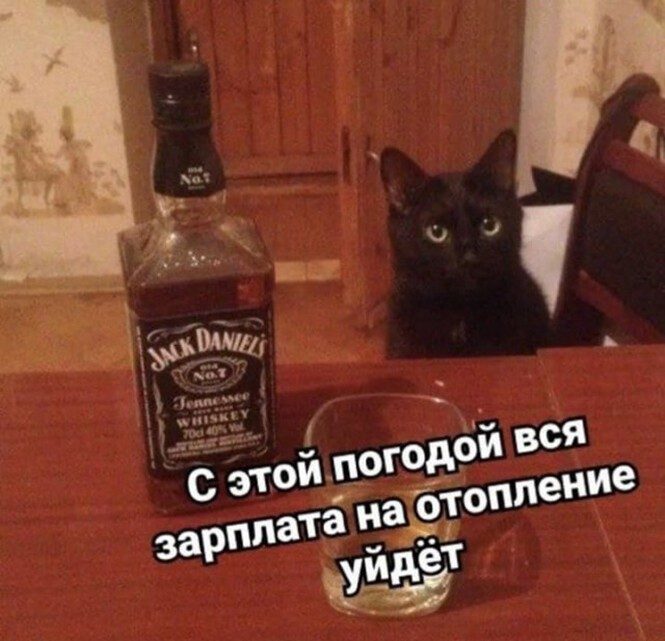 Юмор про алкоголь. Лайк! Юмор про алкоголь. Лайк! позитив,смешные картинки,юмор