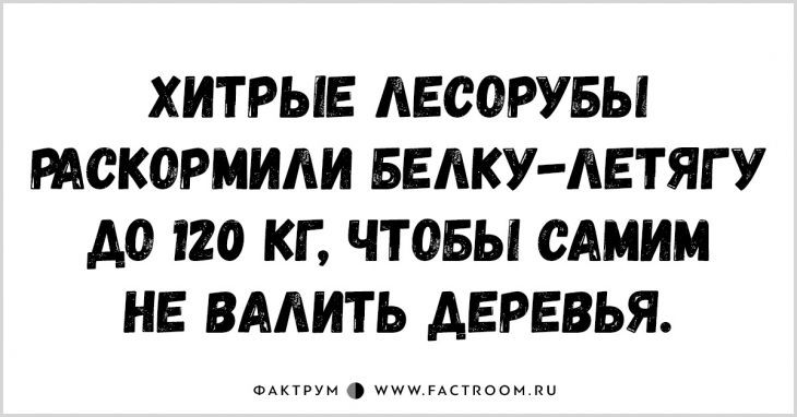 20 забавнейших анекдотов, помогающих избавиться от скуки