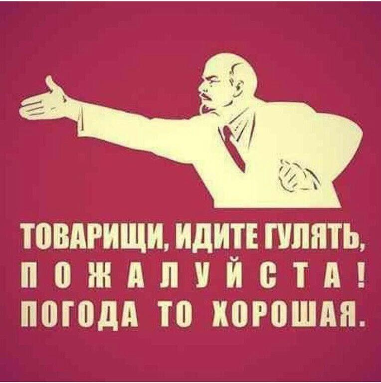 Немного картинок с надписями картинки для хорошего настроения, смешные картинки, смешные подписи к картинкам