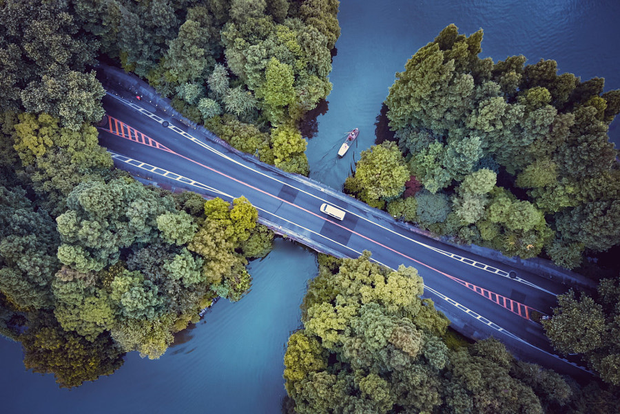 🎀杨公堤的绿色蝴蝶结     船驶湖中，车行桥上 by 凡凡  on 500px.com