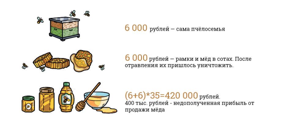 Бизнес план пчеловодство готовый на 10 пчелосемей