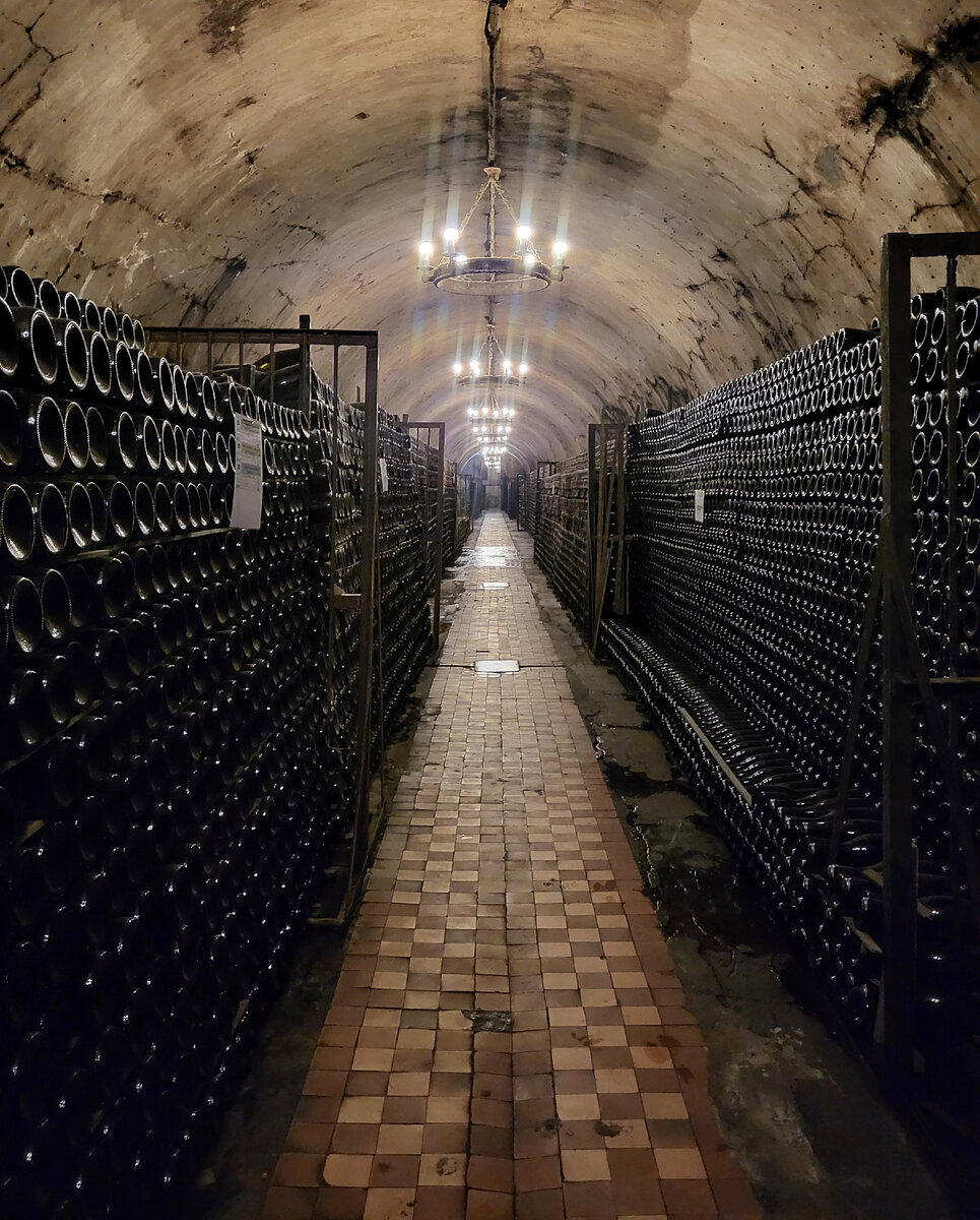 Посещение: август 2023г. «Абрау-Дюрсо» это не только один из крупнейших российских производителей вина с объёмом производства 33 млн.-7