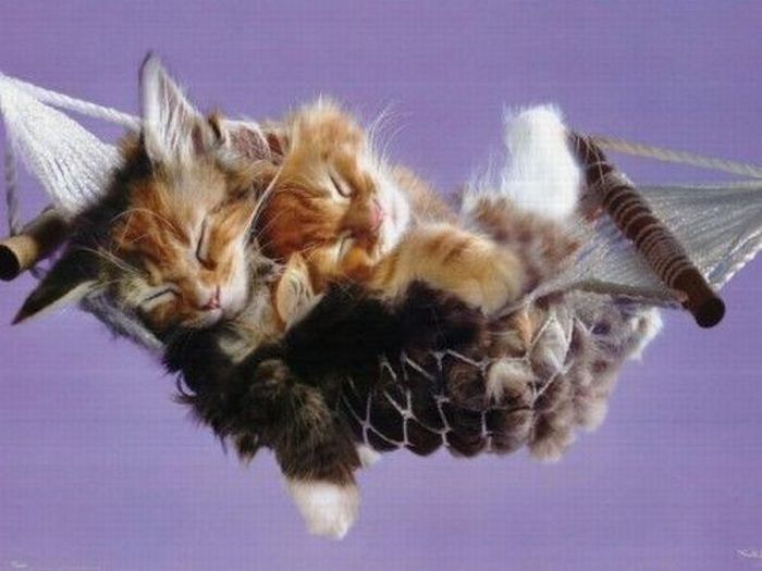 Давайте улыбаться вместе :)