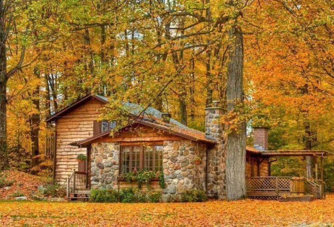 Осень домик в лесу
