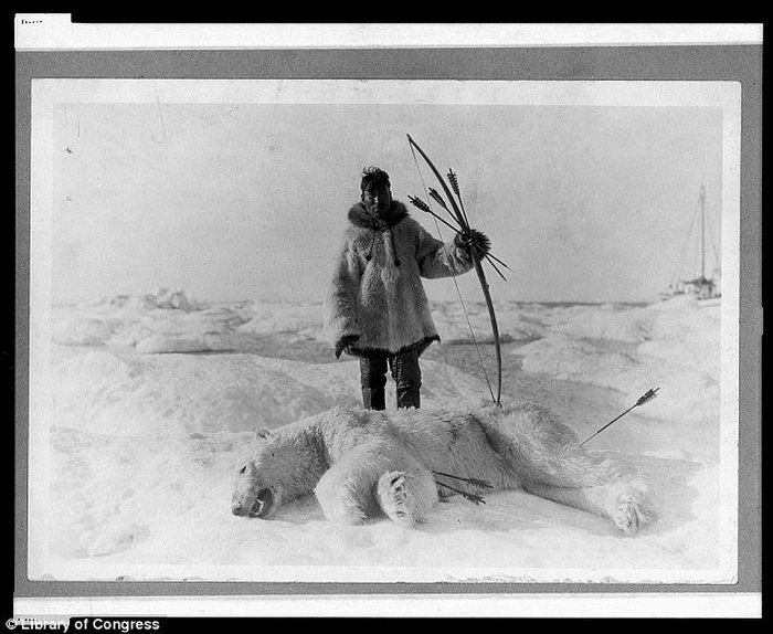 Охотник позирует с луком и стрелами рядом с убитым им полярным медведем