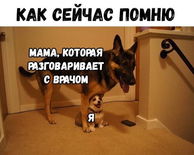 Подборка интересных и веселых картинок №62 Подборка интересных и веселых картинок №62 Отдых