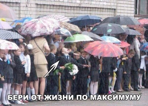 Свежие фотомемы для настроения (22 шт)