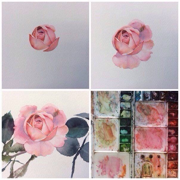 Рисуем акварельные розы: мастер-класс Рисуем, акварельные, наполняем, жизнь, благоуханием, творчества  