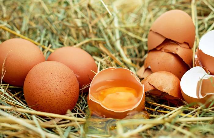 Нужно ли мыть куриные яйца перед едой » Новости россии и мира ...