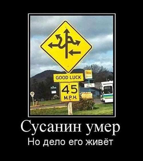 Новая порция демотиваторов (12 фото)