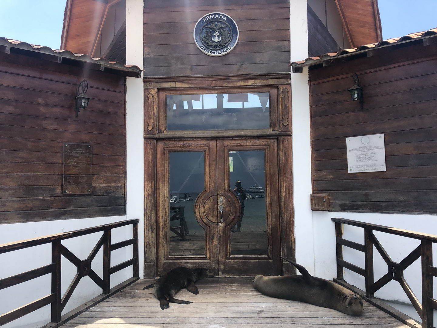 Забавные картинки для хорошего настроения Забавные картинки для хорошего настроения животные,жизнь,звери,земля,котики,коты,курьезы,мир,питомцы,планета,приколы,природа,смешное,собаки,факты,фауна,флора,щенки,юмор