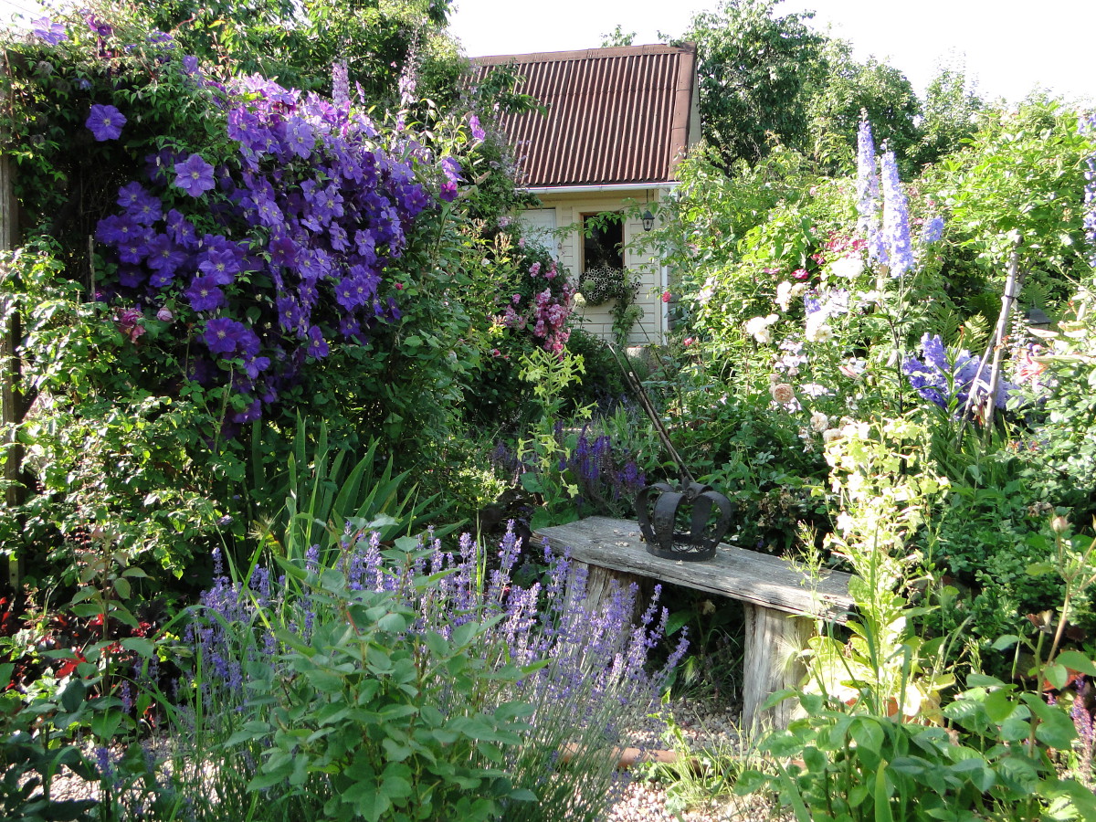 Личный ботанический сад на даче