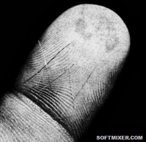 “Пентагоновские волки в космос бросили иголки”… “Пентагоновские волки в космос бросили иголки”…