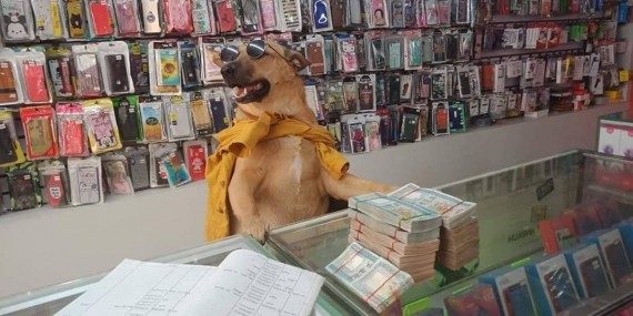 Смехоподборка